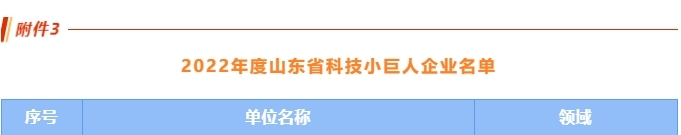 喜訊丨公司榮獲首批山東省科技小巨人企業(yè)！