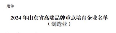 喜訊！公司榮登2024年度山東省高端品牌培育企業(yè)榜單